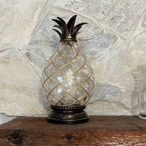 LED Lighted Pineapple